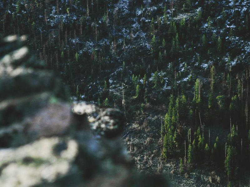 Intercomunicadores de Video Boca Chica